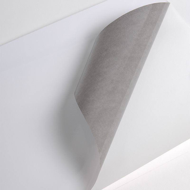 V300WG1 - Blanc Brillant adh permanent gris